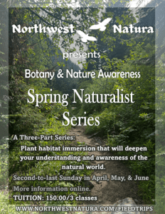 (Day 3 of) Spring Naturalist Series: Botany & Nature Awareness with Northwest Natura @ Anacortes, WA