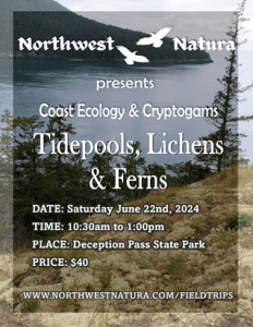Tidepools, Lichens & Ferns with Northwest Natura @ Deception Pass State Park