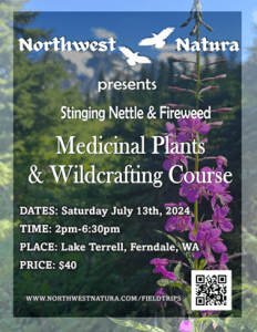 Medicinal Plants & Wildcrafting Course with Northwest Natura @ Whatcom County, WA