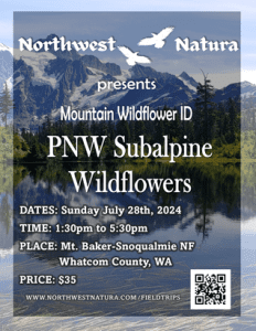 PNW Subalpine Wildflowers - Plant ID walk with Northwest Natura @ Heather Meadows