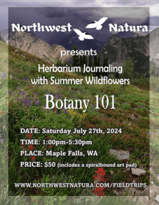 Northwest Natura presents Botany 101 - Herbarium Journal with Wildflowers